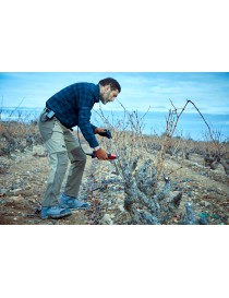 CABLE EXTENSOR DE BATERÍA ECEC115P - I.V.A Y PORTES INCLUIDOS