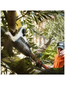 TIJERA PÉRTIGA ALTUNA AB2000 - I.V.A Y PORTES INCLUIDOS.