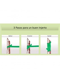 BANDA DE INJERTAR FLEXIBAND 240x8 MM (CAJA DE 5KG) - I.V.A. INCLUIDO.