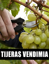 TIJERAS