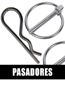 PASADORES