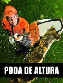 PODADORAS DE ALTURA