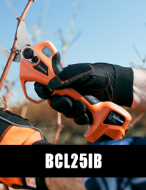 BCL25IB