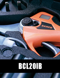 BCL20IB