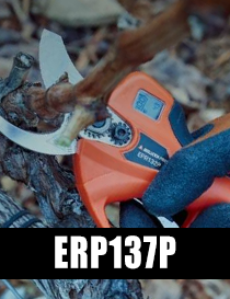 ERP137P