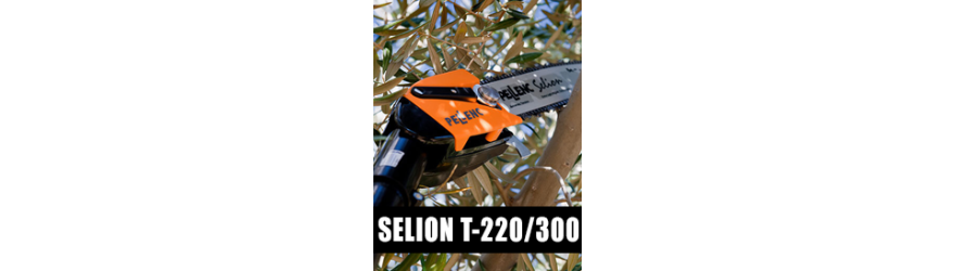 VENTA DE LA SIERRA ELÉCTRICA SELION T-220/300 EVO