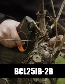 BCL25IB-2B