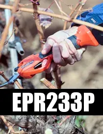 EPR233P