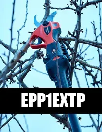 EPP1EXTP
