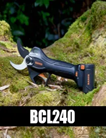 BCL240