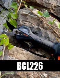 BCL226