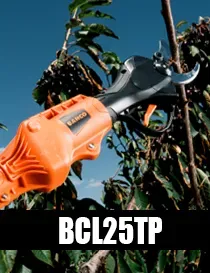 BCL25TP