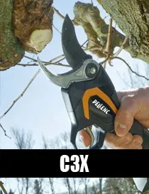 C3X