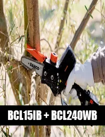 BCL15IB + BCL240WB